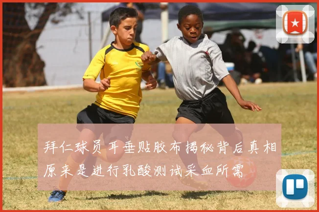 拜仁球员耳垂贴胶布揭秘背后真相原来是进行乳酸测试采血所需