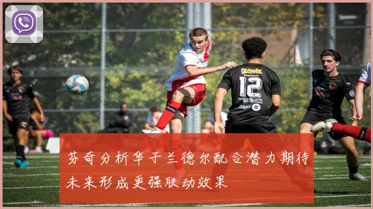芬奇分析华子兰德尔配合潜力期待未来形成更强联动效果